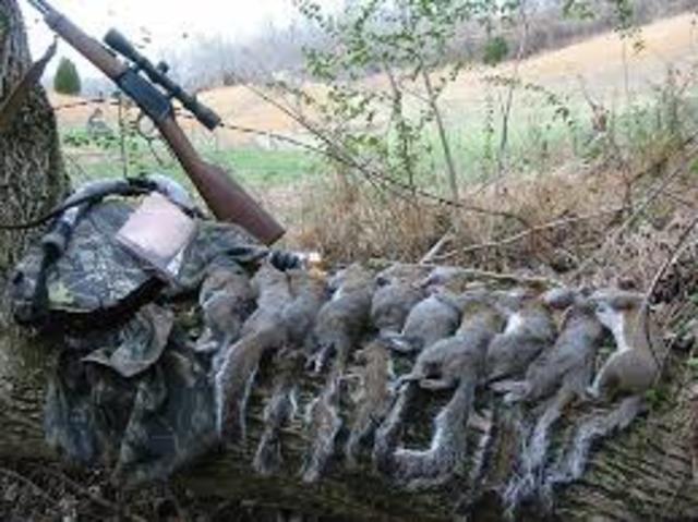 Squirrel hunting