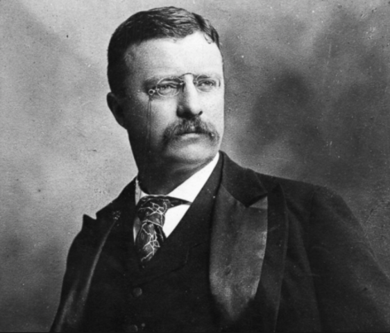 Theodore Roosevelt