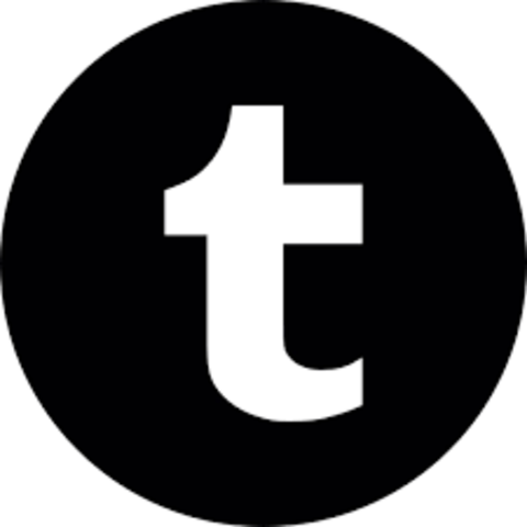 Tumblr launched