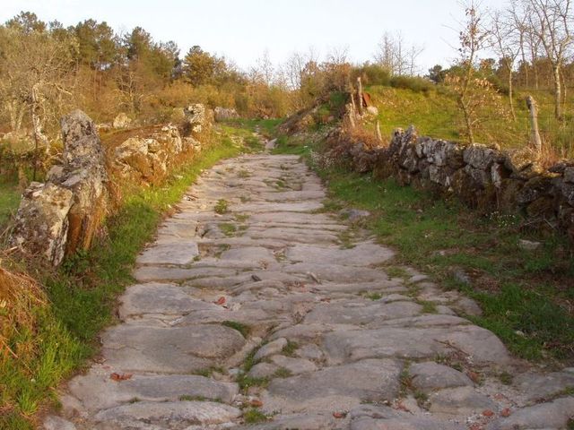 Transporte Edad Media