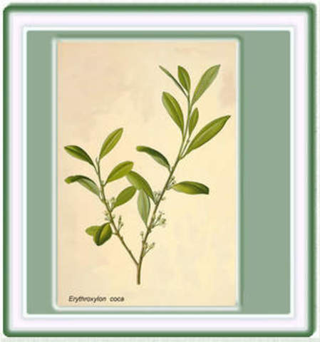 Dr. Tomás Moreno y Maiz