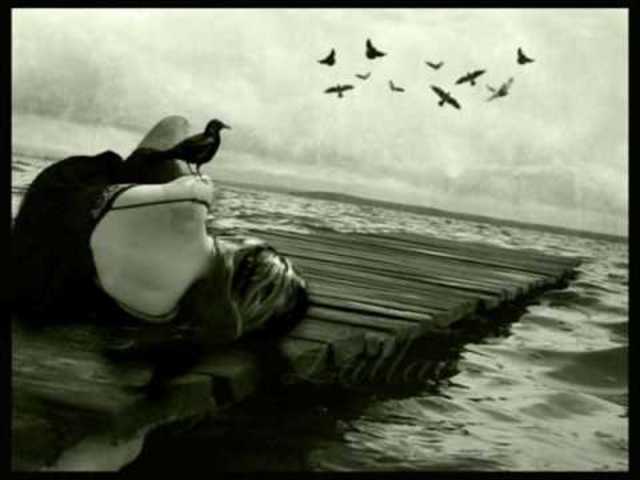 Rima LIII ¨Volverán las oscuras golondrinas...¨