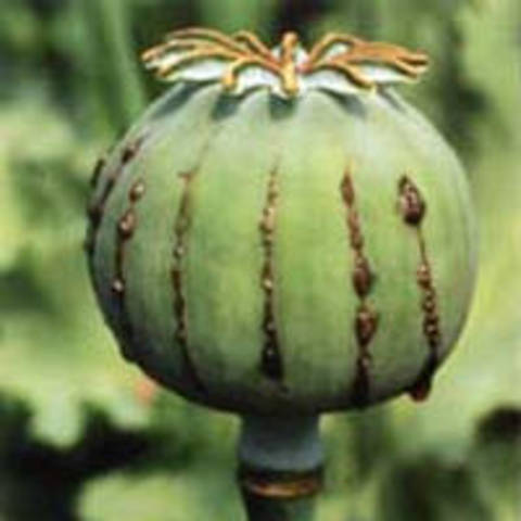 Se publicó la nueva tarifa de aranceles