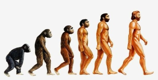 Aparició de l'Homo Sapiens