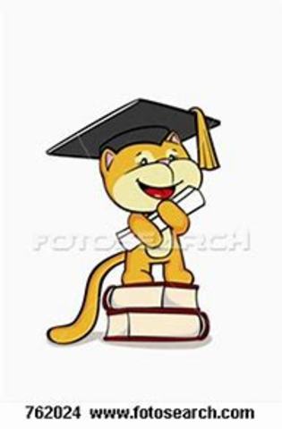 Estudios Universitarios