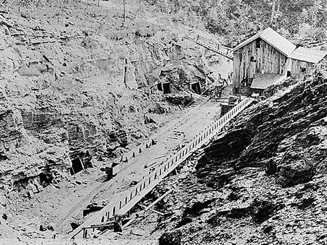 dahlonega  gold rush