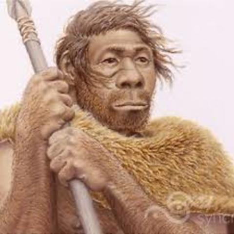 Homo Sapiens: Cromagno