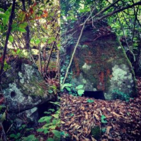 Castello d'Ariano a Lariano