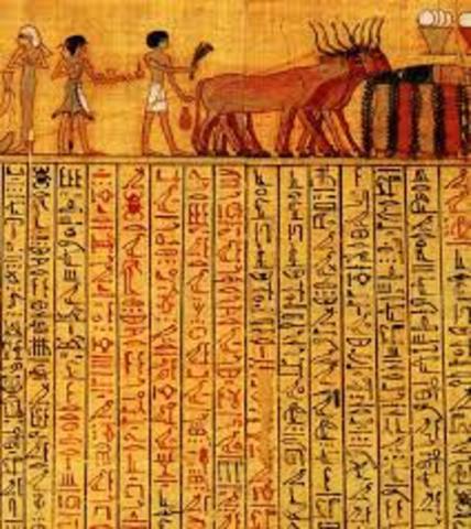 estadística en  Egipto