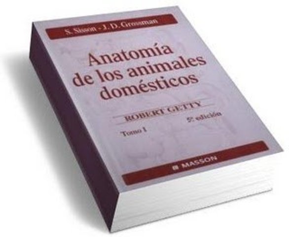 1933 Libro de anatomía de los animales domésticos