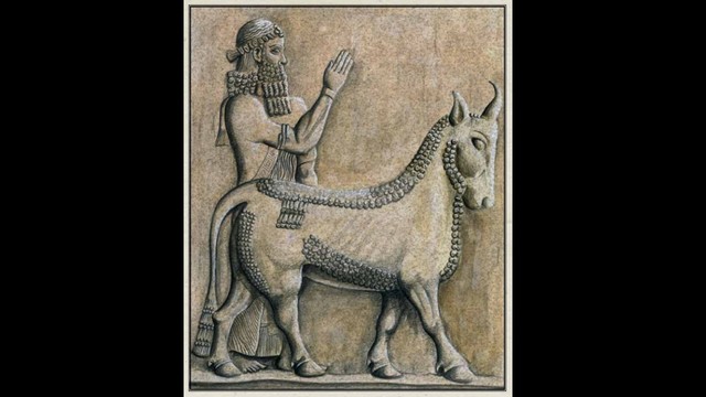 Orígenes de la Profesión Veterinaria - La primera referencia escrita a los médicos veterinarios