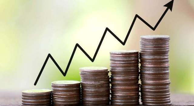 Crecimiento Reducido