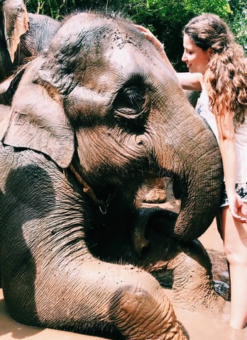 King Mongkut´s University of Technology Thonburi