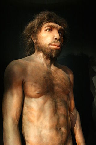 NEANDERTHAL