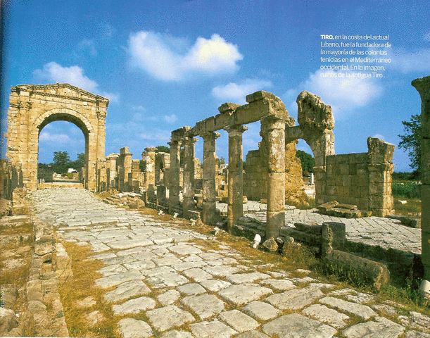 LA EDUCACION EN FENICIA