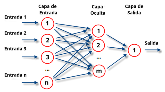 Desarrollo de la red neuronal Perceptron