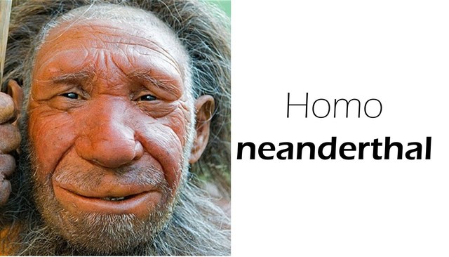 HOMO NEANDERTHAL