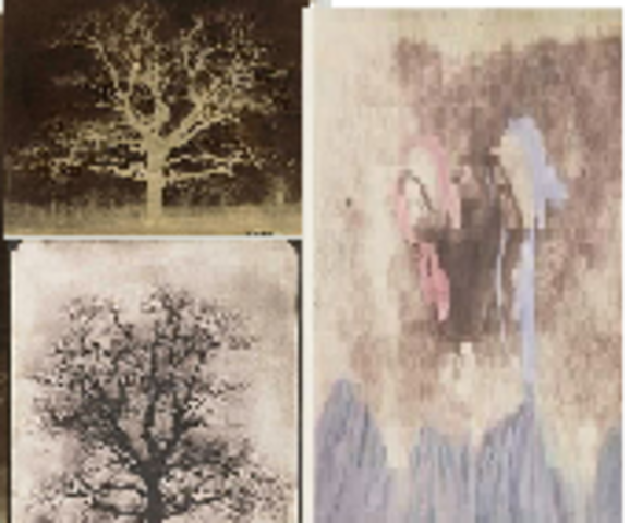 Calotipo, fotografía sobre papel