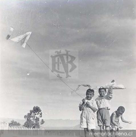 Socialización (siglo XIX - mediados del XX)