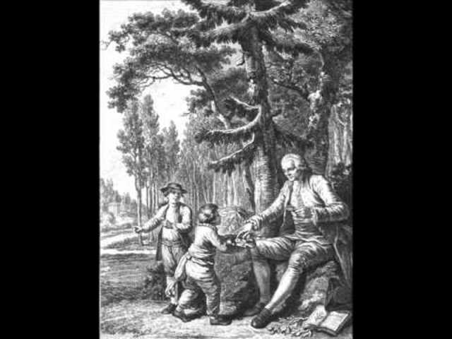 Reinvención-Rosseau