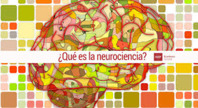 Que es Neurociencias