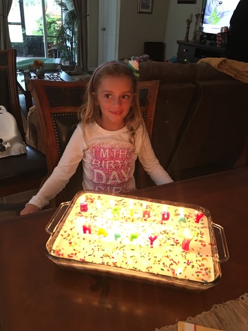 Taylor's 7th Birthday