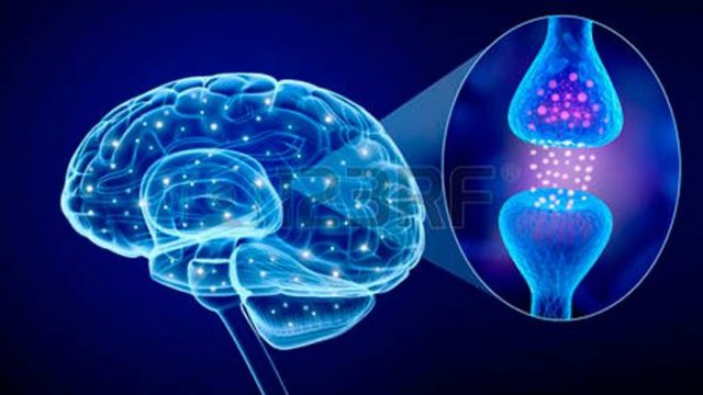 Cerebro después de 32 años