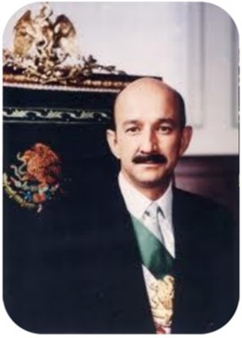Gobierno Salinas de Gortari