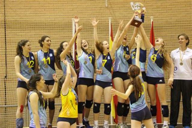 Asociación Femenina de Voleibol
