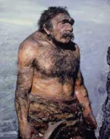 HOMO ERECTUS