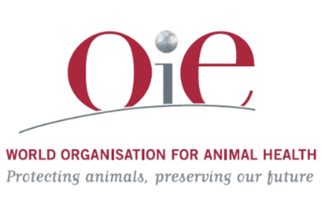 OIE