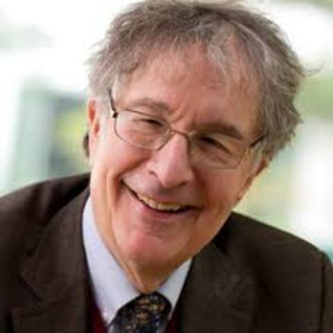 Howard Gardner (1943-present)