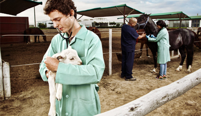 Veterinaria en la actualidad