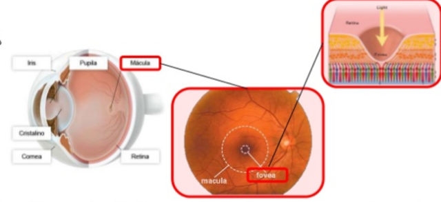 TREINTAIDOSAVA SEMANA