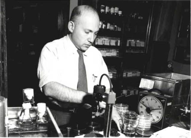 Conjugación entre bacterias