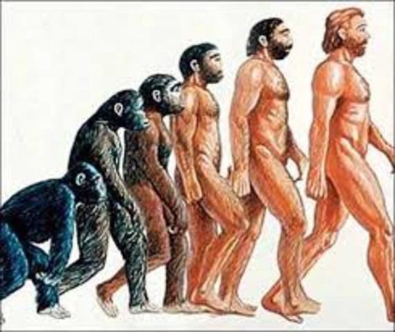 El surgimiento de los homínidos.