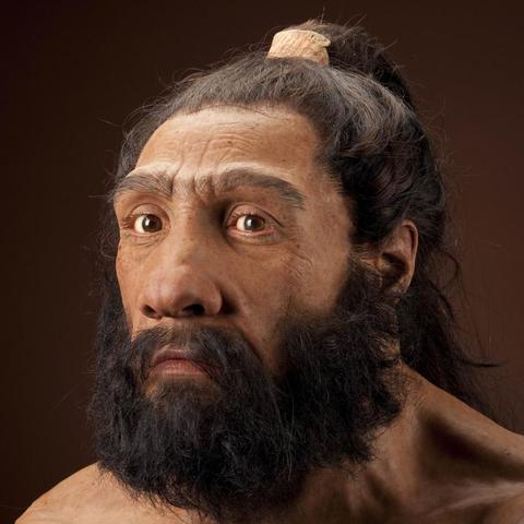Homo neanderthalensis 100 mil años