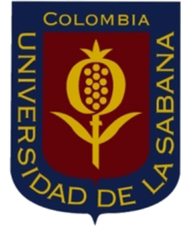 Primeros cursos a distancia