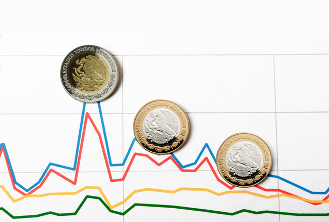 segundo año de crecimiento