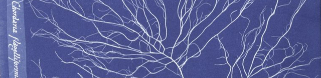 Sir John Herschel Inventa el Cianotipo