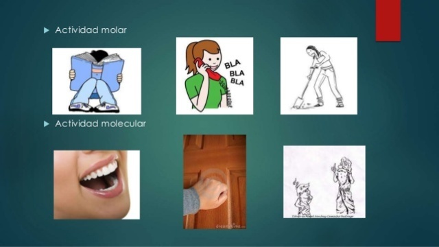 Actividad molar y Actividad molecular