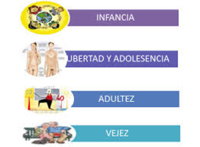 CARACTERÍSTICAS DEL DESARROLLO HUMANO