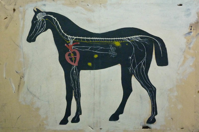 Primer Veterinario de la Historia