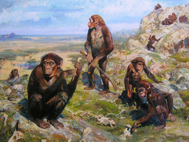 Los Primeros Hominidos