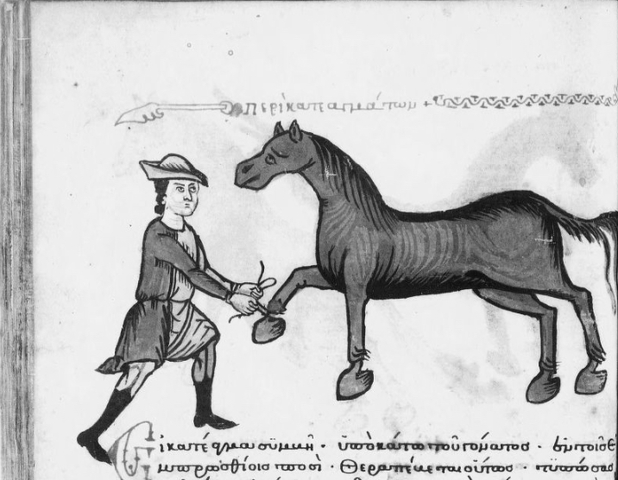 Primeros Veterinarios Militares en España