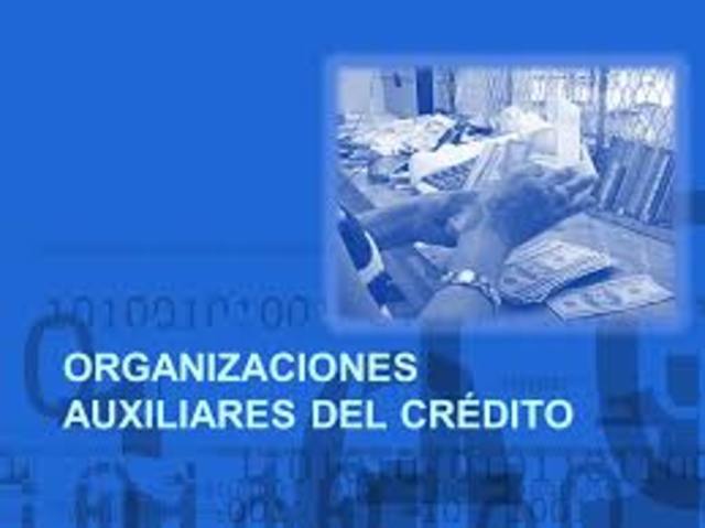 Organizaciones auxiliares