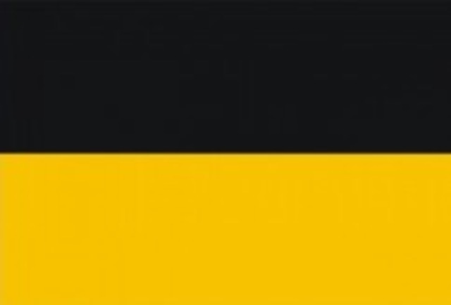 Austria Hungría Busca Venganza