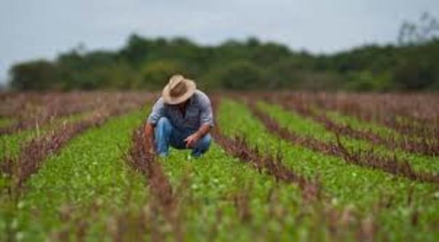Se crea la especialidad de Ganaderia