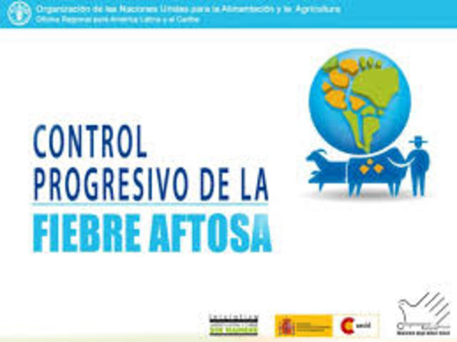 Erradicacion de la Fiebre Aftosa