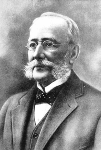 Se observa que la fiebre es transmitida por mosquitos.